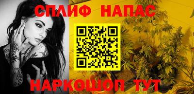 спиды Обь