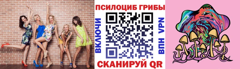 закладка  Таганрог  Галлюциногенные грибы Psilocybine cubensis 