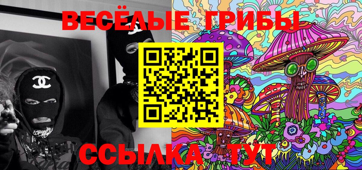 Псилоцибиновые грибы Psilocybe  Вход с VPN  Таганрог 