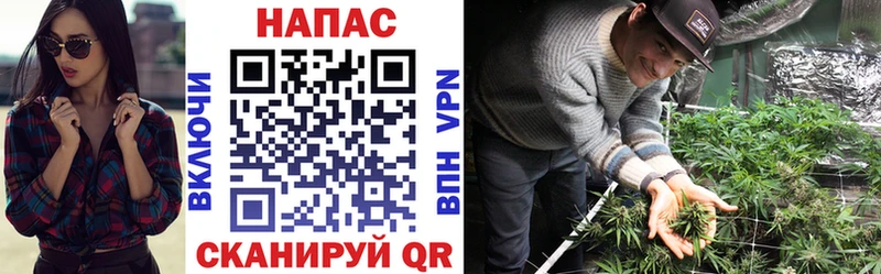 Бошки марихуана гибрид  Таганрог 